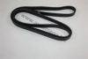 AUTOMEGA 30101120954 V-Ribbed Belts